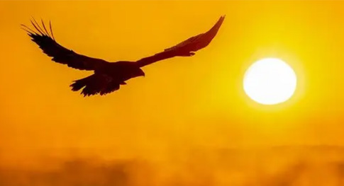 选择我们的四大优势？